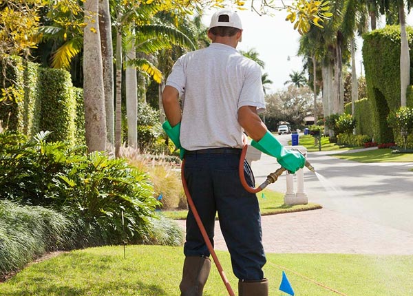 About Visalia CA Pest Control